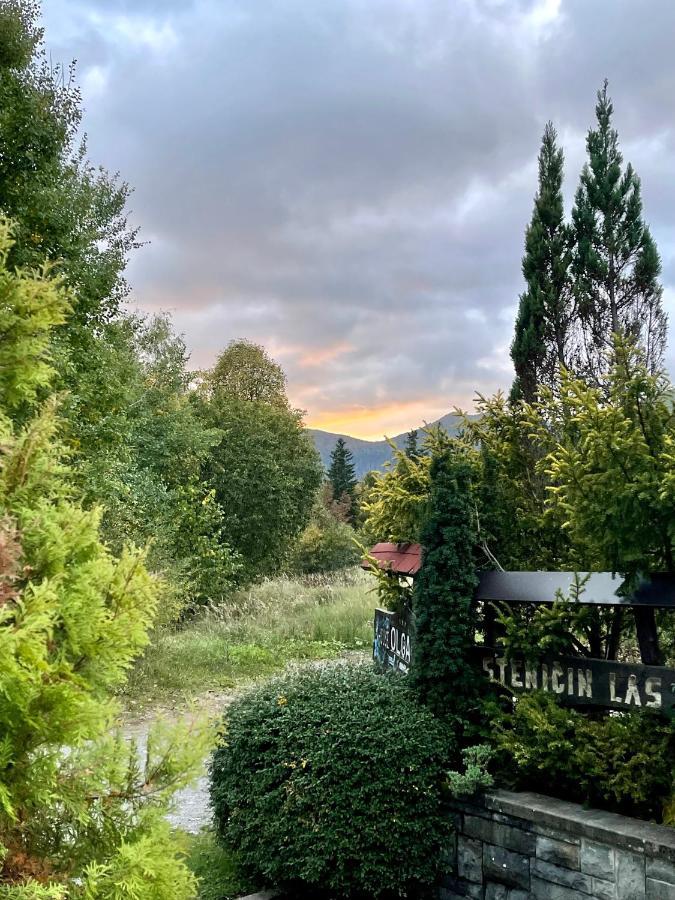 Chalet House Olga Crni Lug Εξωτερικό φωτογραφία